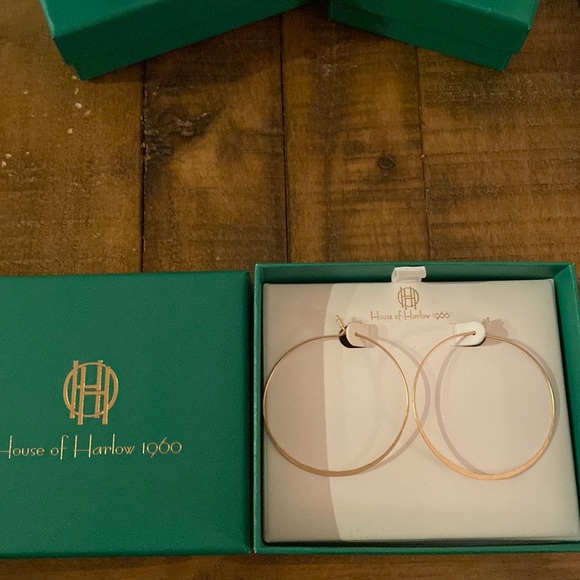 House of Harlow 1960 Jewelry - House of Harlow 1960 Gold Tone Hoop Earrings